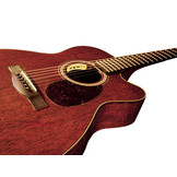 LR Baggs Anthem Acoustic Guitar Pickup System