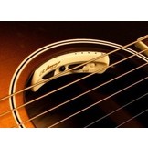 LR Baggs Anthem Acoustic Guitar Pickup System