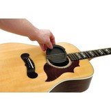 Planet Waves SH01 Feedback suppressor