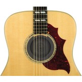 Planet Waves SH01 Feedback suppressor