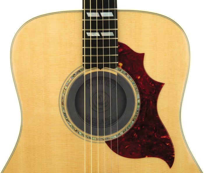 Planet Waves SH01 Feedback suppressor