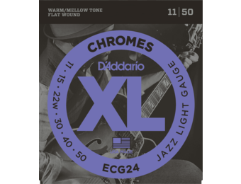 ECG24 D'Addario Flat Wound 011-050