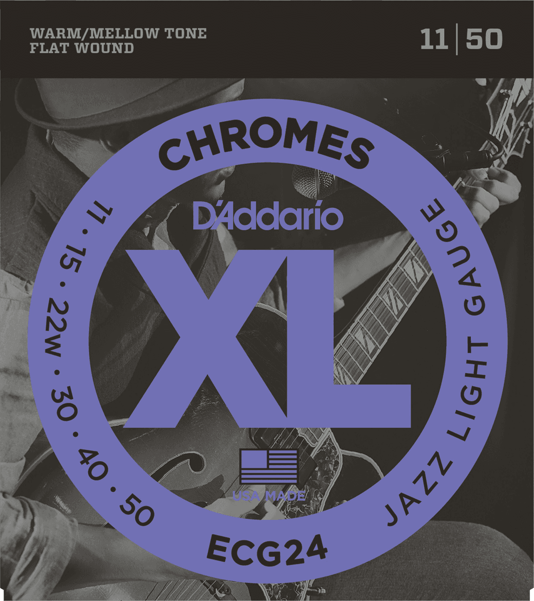 ECG24 D'Addario Flat Wound 011-050