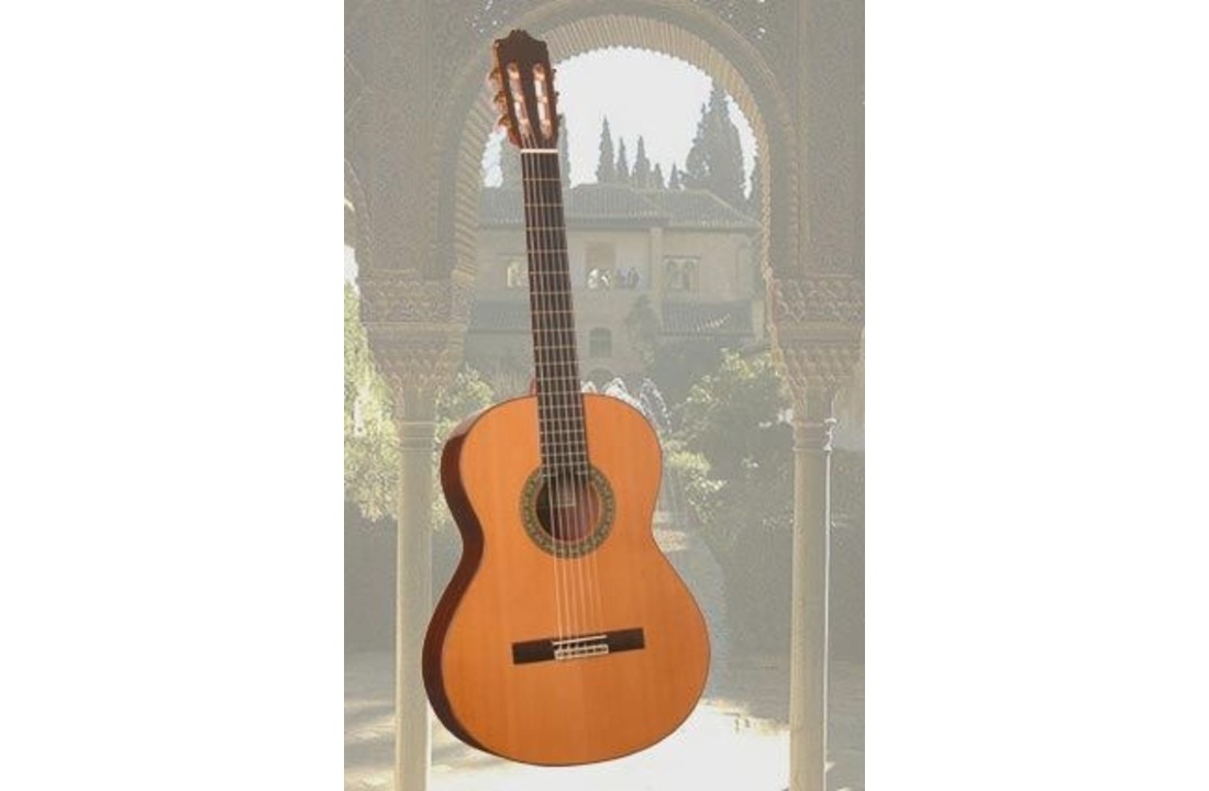 Alhambra 5P klassieke gitaar ceder/palisander