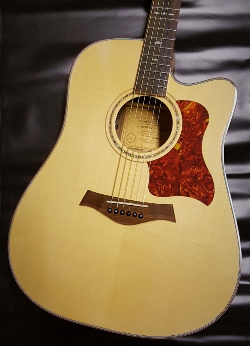 Heartford Vox Humana Designed D21CE-SW Electro Acoustic Guitar