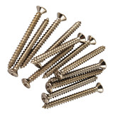 Neck screw stainless steel bulk/50
