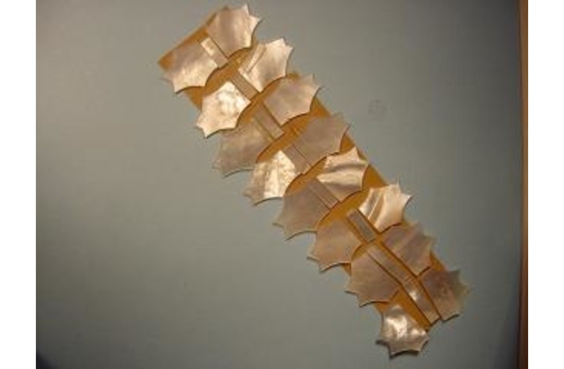 Mother of Pearl Guitar fingerboard inlay set fantasy