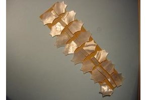 Mother of Pearl Guitar fingerboard inlay set fantasy