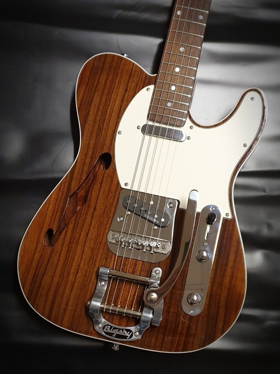 Vox Humana TE-Thinline Custom Guitar Rosewood