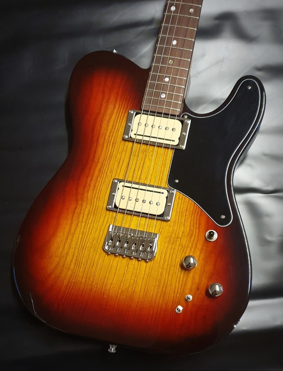 Vox Humana TE-HH Custom Guitar with P-Rails Pickups