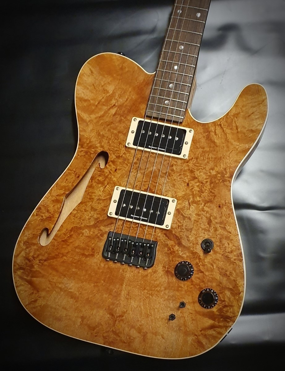 Vox Humana TE-Thinline Custom Guitar with P-Rails pickups