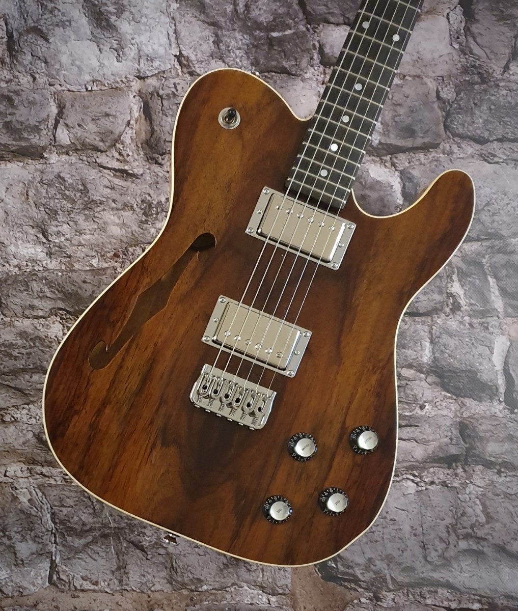 Vox Humana TE-HH-Thinline Custom Guitar Rosewood Top