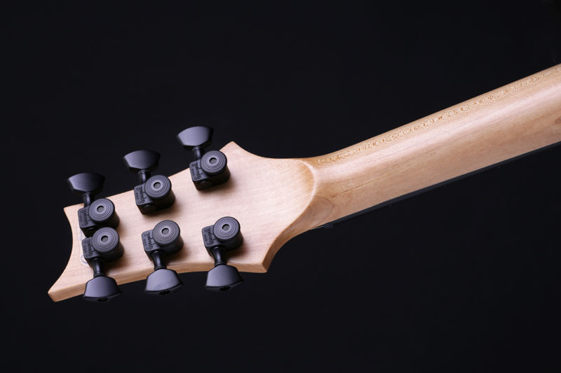 Vox Humana Custom Shop PS-Model