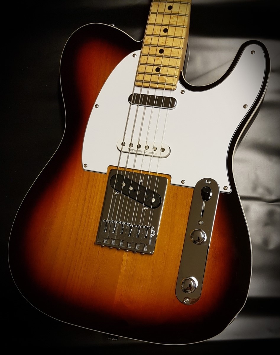 Vox Humana TE-Nashville Custom Guitar