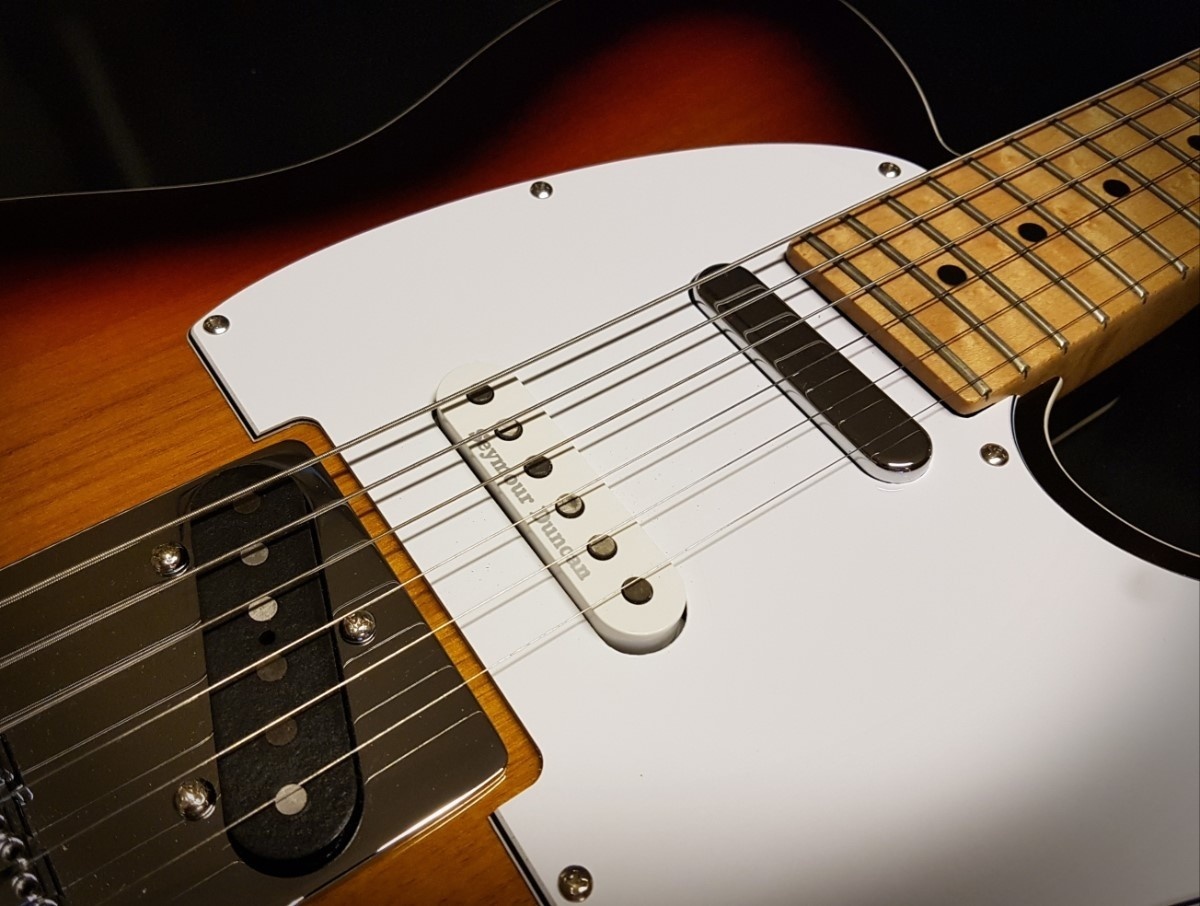 Vox Humana TE-Nashville Custom Guitar