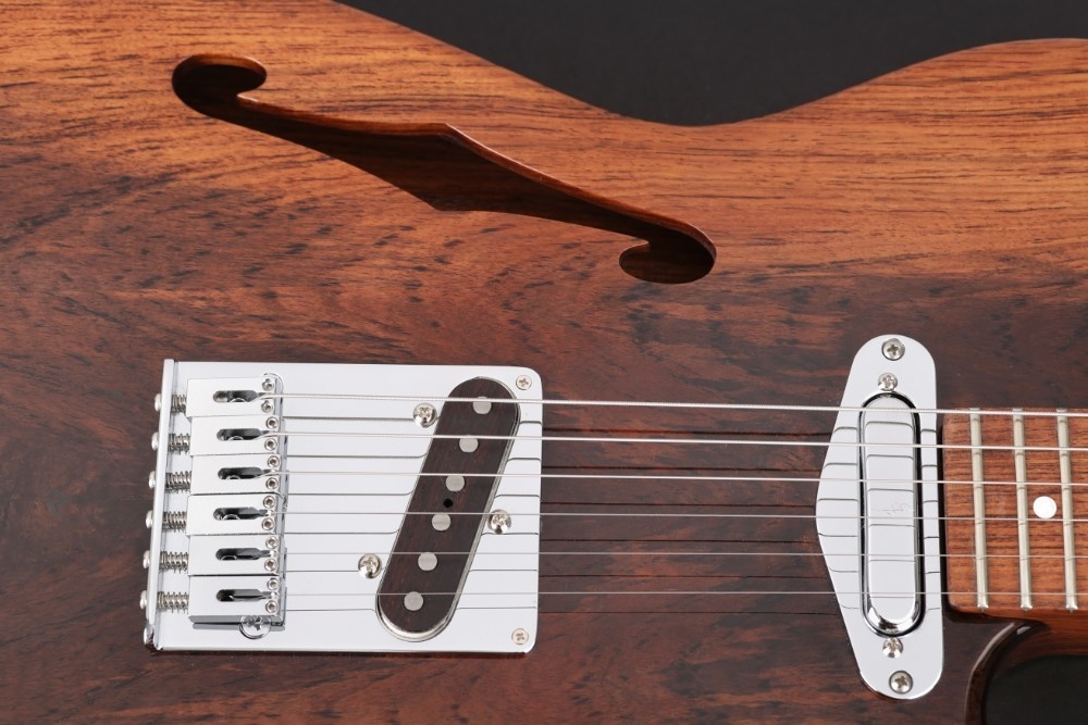 Vox Humana TE-Thinline Custom Guitar Rosewood