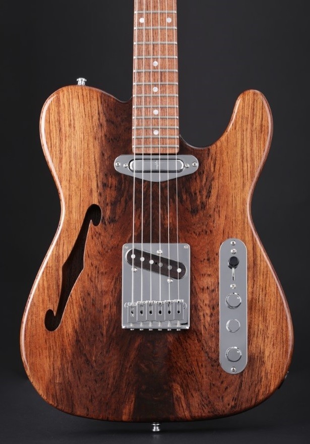 Vox Humana TE-Thinline Custom Guitar Rosewood