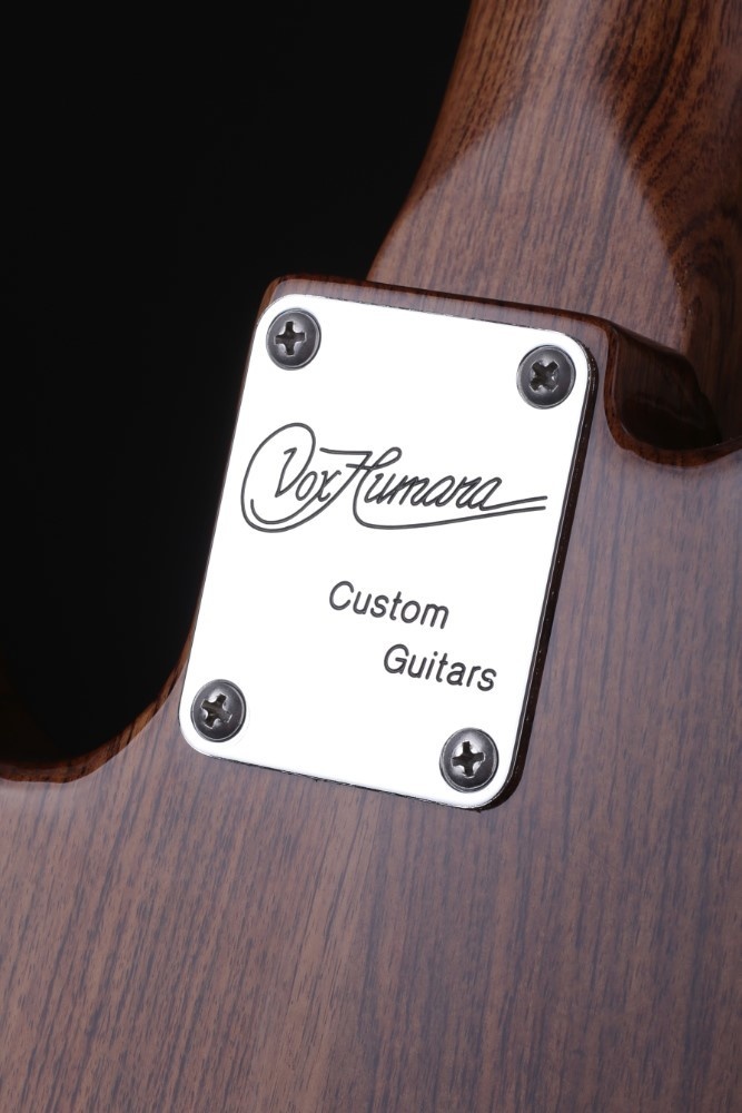 Vox Humana TE-Thinline Custom Guitar Rosewood