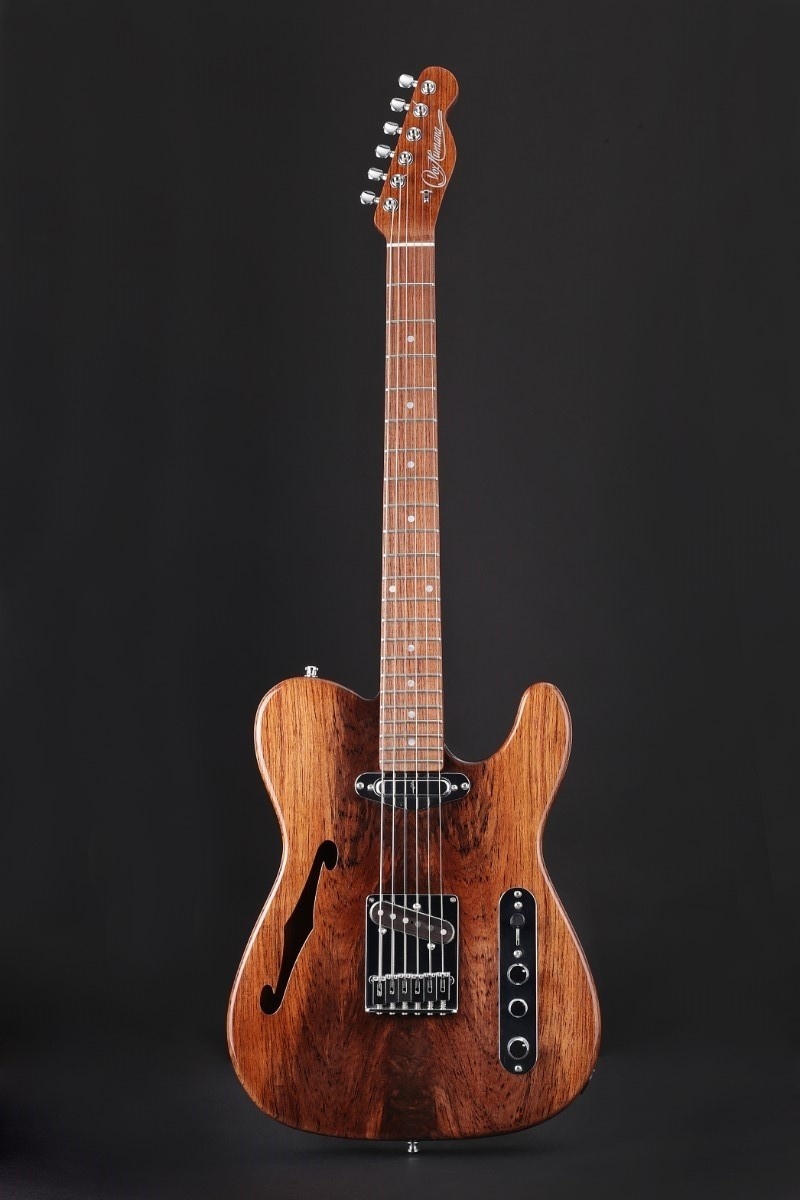 Vox Humana Rosewood Thinline Tele (2016)