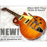 Vibramate V7 Les Paul Bigsby mounting kit