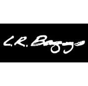 LR Baggs LR Baggs