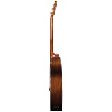 Rathbone R2CRE OM-Model Semi-Acoustic Guitar