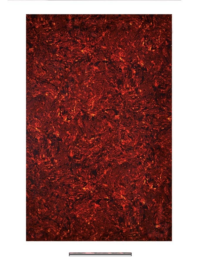 Boston PG-434-TI pickguard blank 29x45 tortoise 4ply