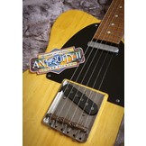 Vox Humana TE-Relic Custom Guitar Aged Butterscotch