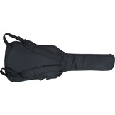 Bass guitar gig bag standard
