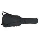 Hoes electrisch gitaar standard