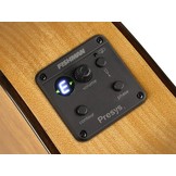 Salvador Cortez CF55CE Classic Electric Flamenco Guitar