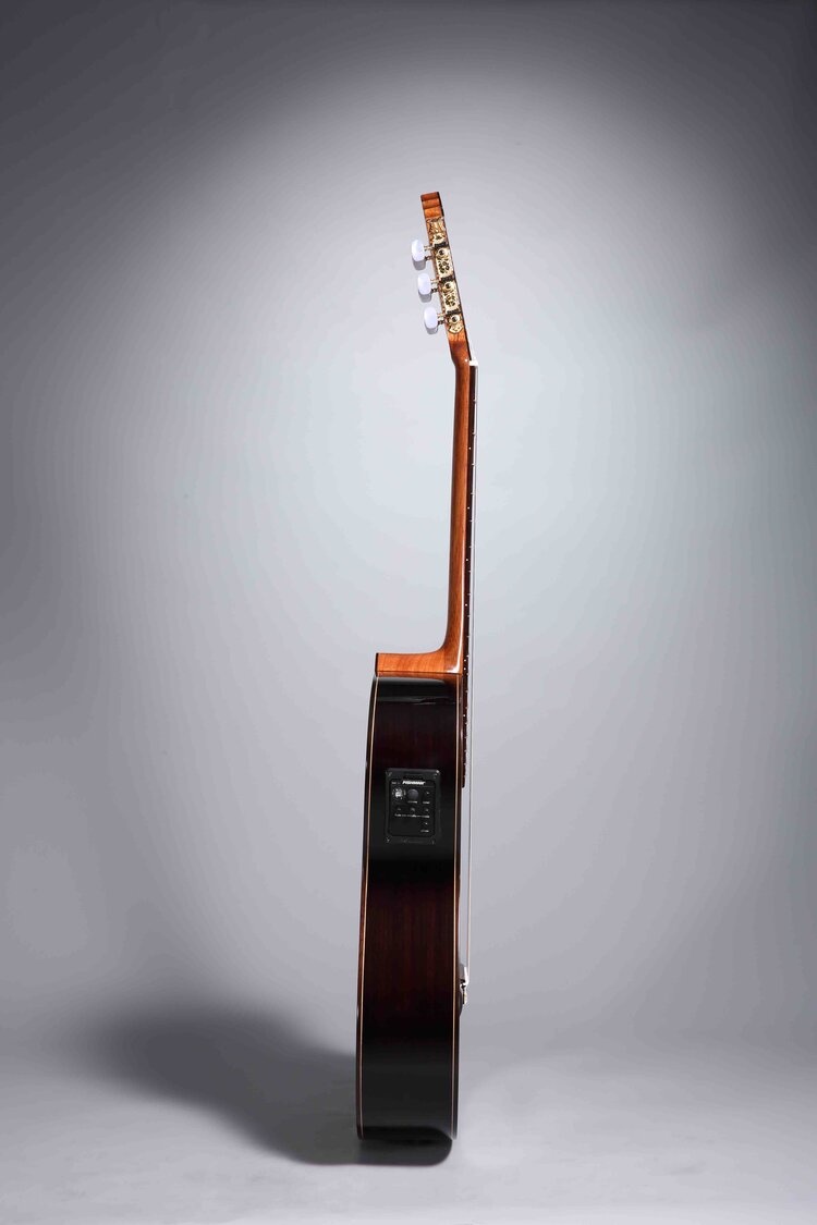 Altamira N300CE klassiek electrisch met cutaway