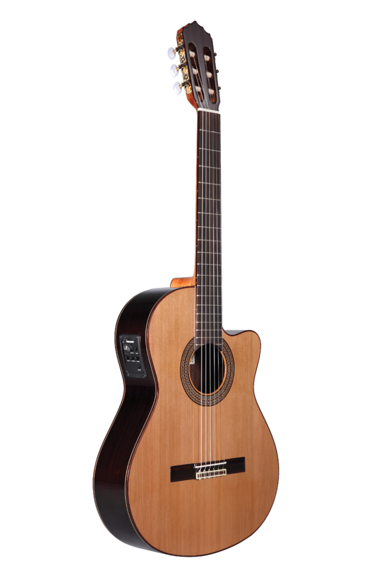 Altamira N300CE klassiek electrisch met cutaway