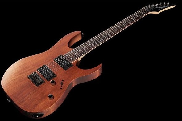 The Ibanez RG421 Electric Guitar
