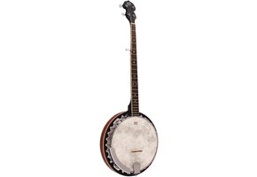 Barnes & Mullins BJ300 5-string Bluegrass Banjo