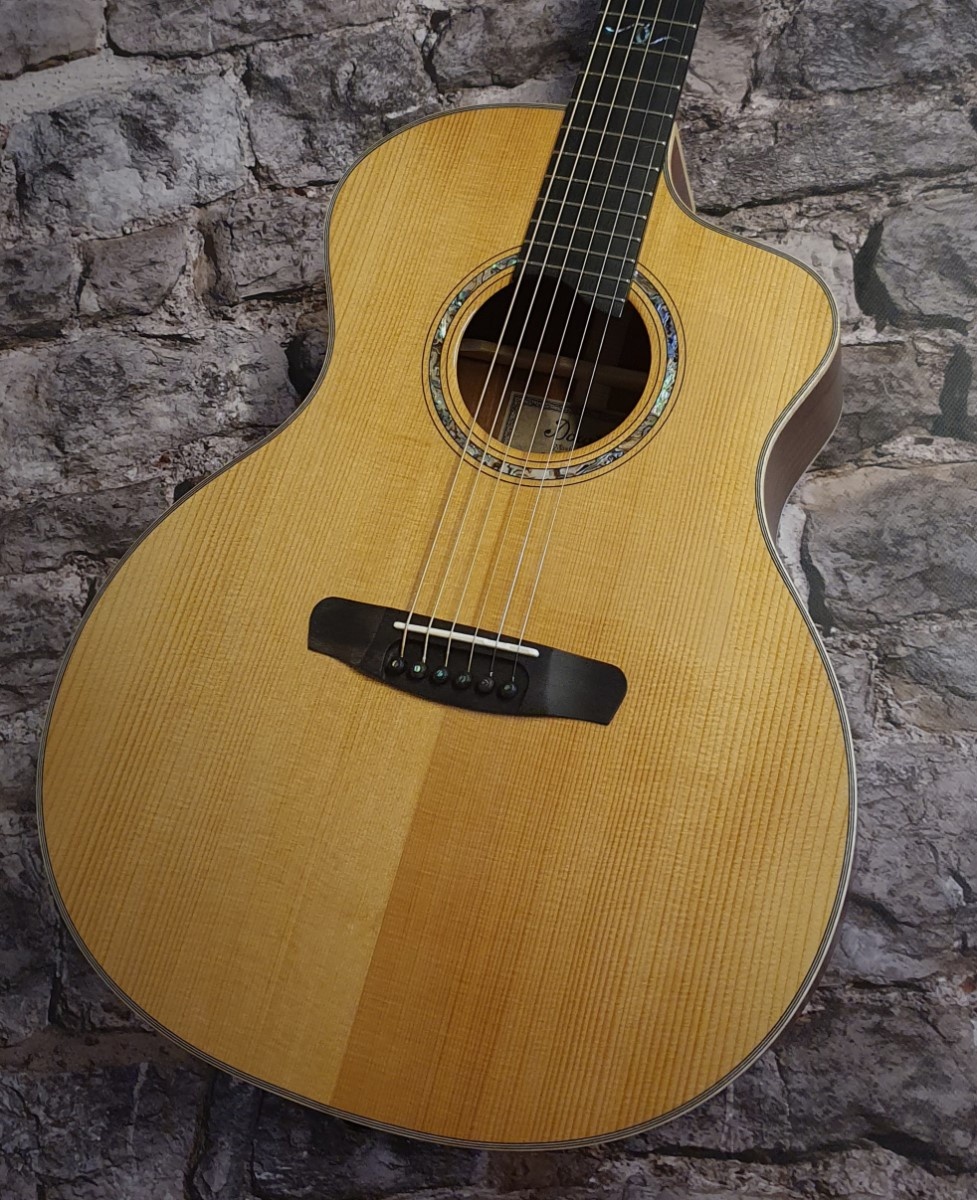 Dowina Cocobolo GAC-TDS Akoestische Gitaar met koffer