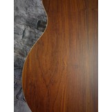 Dowina Cocobolo GAC-TDS Acoustic Guitar with case