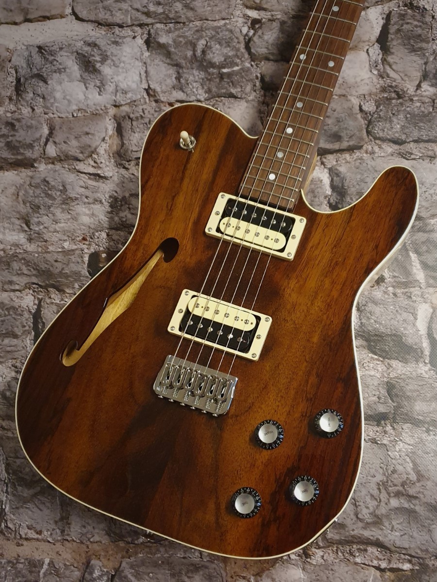 Vox Humana TE-Thinline Custom Guitar Rosewood Neck & Top