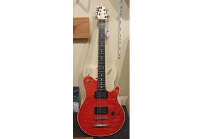 Peer Dellen EVH Custom Electric Guitar Occasion