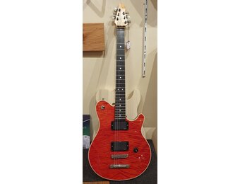 Peer Dellen EVH Custom Electric Guitar Occasion
