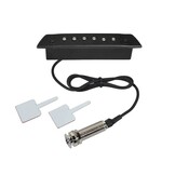 Boston Soundhole pickup met endpin jack