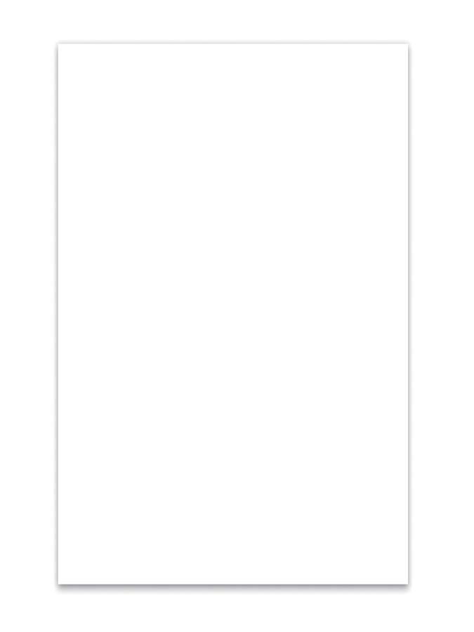 Boston PG-134-W pickguard 29x45 cm blank  white  1 ply