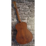 Dowina Acoustic Guitar Macacauba GD TDS (OM size)