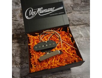 Vox Humana Custom Classic Tele pickup set