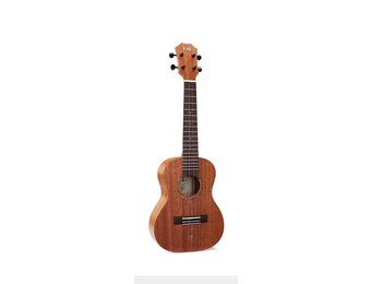 TOM T5 concert ukulele