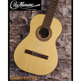 Vox Humana CarbonClassic-Electric Gitaar met LR Baggs Anthem SL pickup