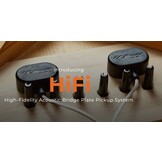 LR Baggs HiFi Soundboard Pickup System