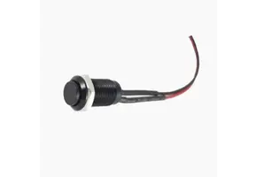 Momentary Kill switch