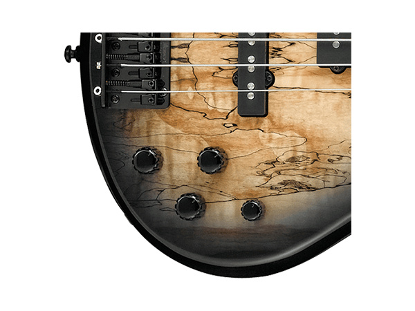 Ibanez GSR200MNGT Bass Spalted Maple
