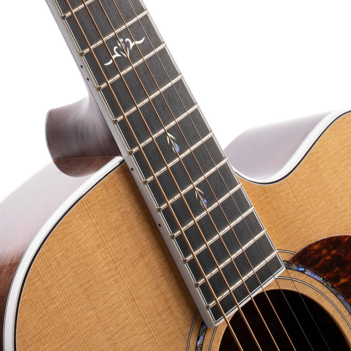 Cort Gold OC8 semi akoestische gitaar met hoes